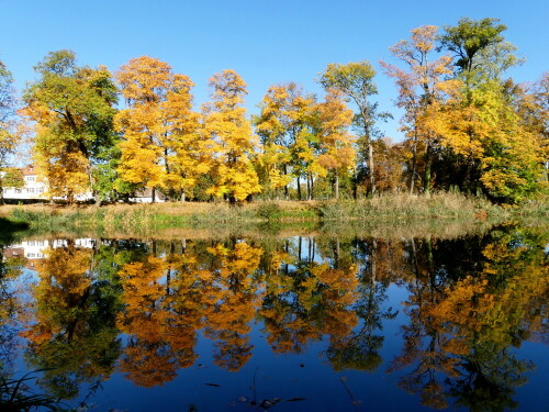 triesdorf-goldener-oktober-21683.jpeg