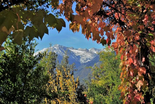 Herbst in Südtirol bei Meran

Aufnameort: Meran - Südtirol
Kamera: Nikon D7200