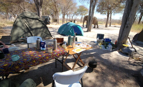 Aufnahme während der Mittagszeit im Camp

Aufnameort: Nxai-Pan - Nationalpark - Botswana
Kamera: Canon1300 D