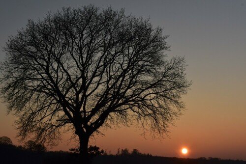 Sonnenuntergang in der Wetterau

Aufnameort: Wetterau
Kamera: Nikon D7200