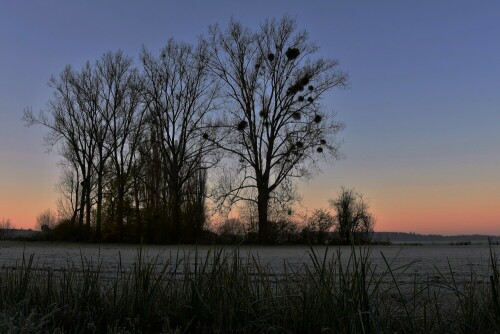 ein frostiger Morgen Ende Oktober

Aufnameort: Wetterau
Kamera: Nikon D7200