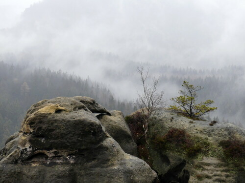 elbsandsteingebirge-kuhstall-ausblick-21993.jpeg