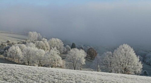 Raureif auf der Kreidacher Höhe im Odenwald

Aufnameort: Kreidacher Höhe
Kamera: Canon EOS 60D, Objektiv 50mm