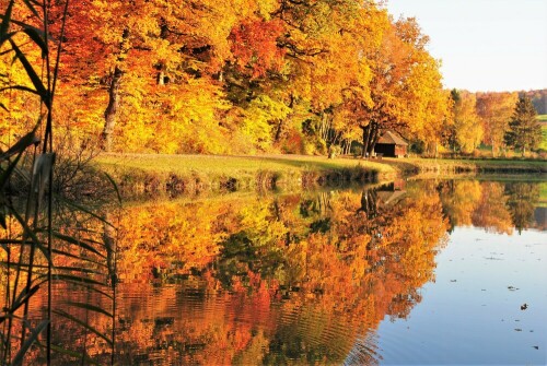 am Teich

Aufnameort: Fischteich Stammheim - Wetterau
Kamera: Nikon D 3000