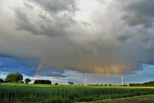 Sonne, Regen und Regenbogen über der "Lücke"

Aufnameort: Wetterau - Stammheim
Kamera: Nikon D 300