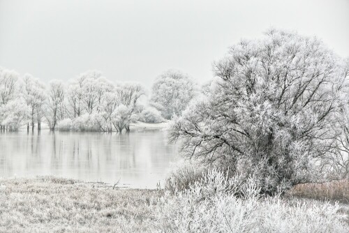 Raureif überzieht die Gehölze am Elbufer

Aufnameort: An der Elbe bei Dannenberg
Kamera: Canon EOS 70D