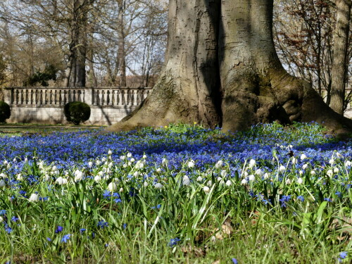 ellingen-schlosspark-blaustern-22356.jpeg