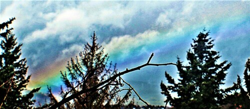 Der Regenbogen entsteht durch eine Art prismatische Zerlegung(Brechung) der Sonnenstrahlen durch Regentropfen.
https://de.wikipedia.org/wiki/Regenbogen

Aufnameort: Eiershausen Dietzhölztal
Kamera: Canon EOS 1300D