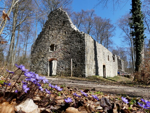 ruinenkapelle-st-ulrich-auf-de-22416.jpeg