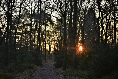 06:20 Uhr: Sonnenaufgang über dem Wildkatzenpfad im Wintersteingebiet

Aufnameort: Wetterau
Kamera: Nikon D7200