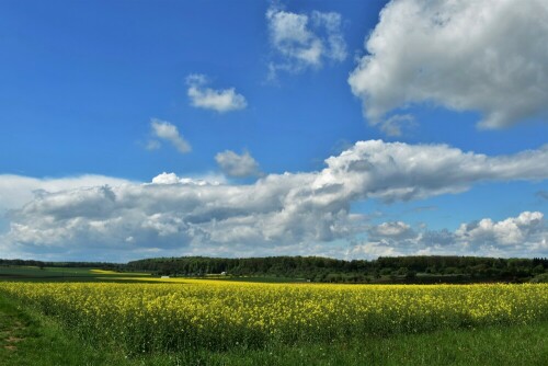 Rapsblüte in der Wetterau

Aufnameort: Wetterau - Stammheim
Kamera: Nikon D7200