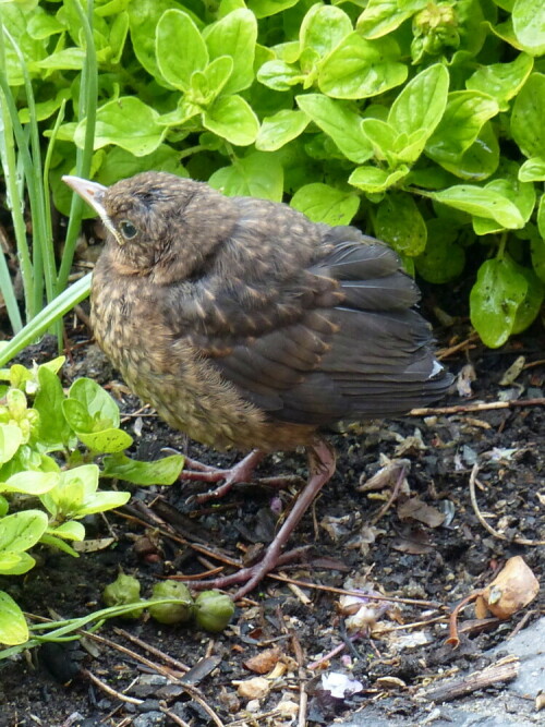 

Aufnameort: Bayreuth
Kamera: LUMIX FZ 200