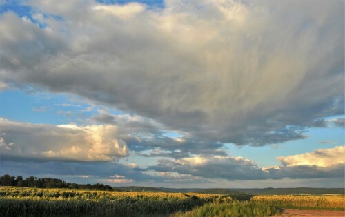 Blick in die Wetterau nach dem Regen

Aufnameort: Wetterau - Stammheim
Kamera: Nikon D7200