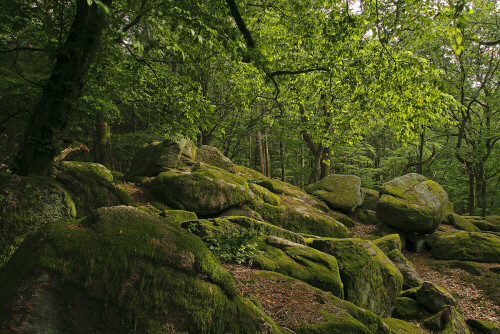 Naturdenkmal Lindenstein

Aufnameort: Odenwald
Kamera: Canon EOS 7D, Objektiv 17-40mm