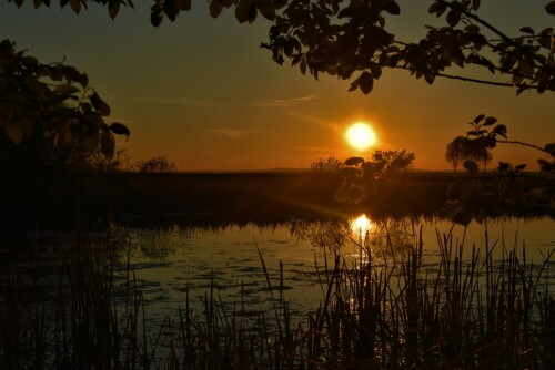 ...Sonnenuntergang in den "Dorfwiesen"

Aufnameort: Wetterau - Stammheim
Kamera: Nikon D7200