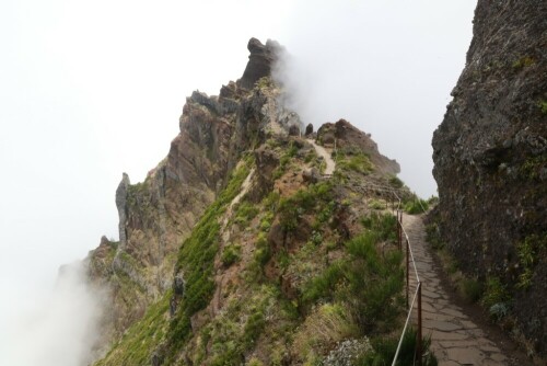 

Aufnameort: madeira
