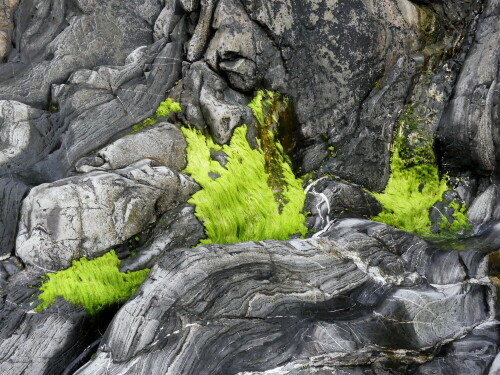 

Aufnameort: Asturien
Kamera: Panasonic Lumix FZ 300