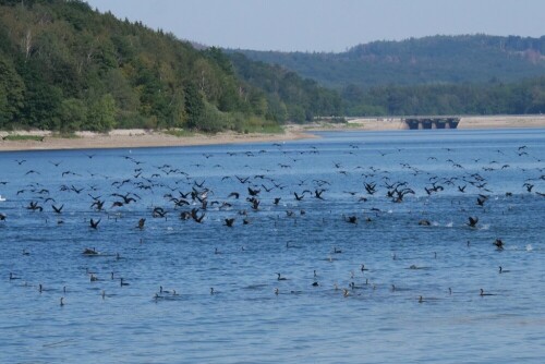 

Aufnameort: d möhnesee
