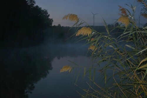 Tagesbeginn am 6.9.2019 am Teich

Aufnameort: Fischteich Stammheim - Wetterau
Kamera: Nikon D7200