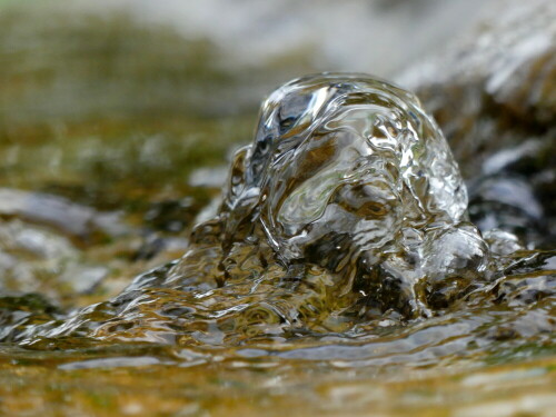 

Aufnameort: Wassertüdingen LGS
Kamera: Panasonic Lumix FZ 300