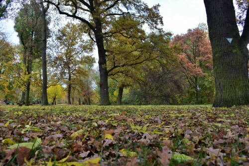 Herbst im Stadener Park - Herrngarten

Aufnameort: Wetterau
Kamera: Nikon D 300