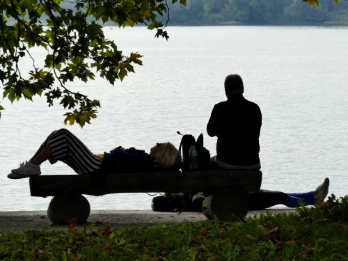 

Aufnameort: Insel Mainau Bodensee
Kamera: Panasonic Lumix FZ 300