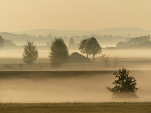 altmuhlgrund-mit-hirschlach-im-morgennebel-23621.jpeg