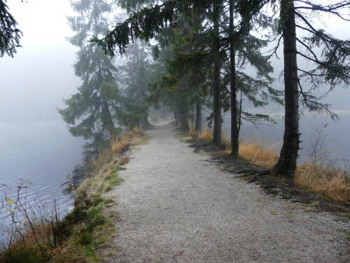 

Aufnameort: Fichtelsee
Kamera: Panasonic Lumix FZ 300