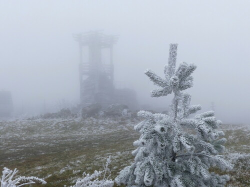 raureif-am-schneeberggipfel-im-fichtelgebirge-23750.jpeg