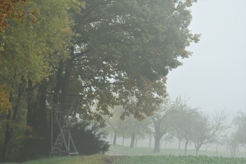 Waldrand am "Zwergwald"

Aufnameort: Wetterau - Stammheim
Kamera: Nikon D7200