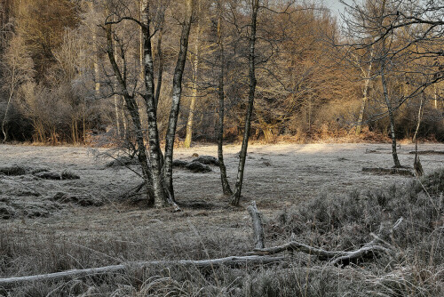 Raureif, Naturschutzgebiet

Aufnameort: Odenwald
Kamera: Canon EOS 60D