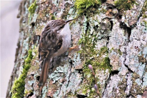 auf einer Streuobstwiese

Aufnameort: Wetterau
Kamera: Nikon D 3000