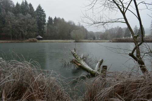 Fischteich in der Wetterau

Aufnameort: Wetterau
Kamera: Nikon D7200