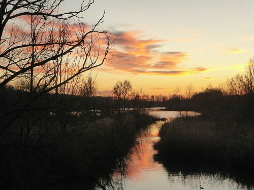 09.01.2020 - 16.57 h

Aufnameort: Gronne - Donautal/Ulm
Kamera: Panasonic Lumix TZ 71