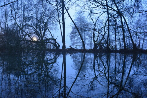 An einem sehr nebligen Morgen im Januar musste meine Mama schon vor der Schule mit mir zum fotografieren losziehen. Dieser kleine See liegt oberhalb meiner Grundschule und sah an diesem Morgen sehr verwunschen aus.

Aufnameort: Lohr - Wombach
Kamera: Nikon D5200