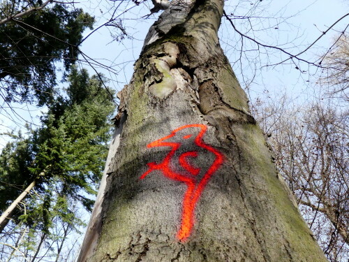 

Aufnameort: Triesdorf im Wald Bereich Thiergarten
Kamera: Panasonic Lumix FZ 330