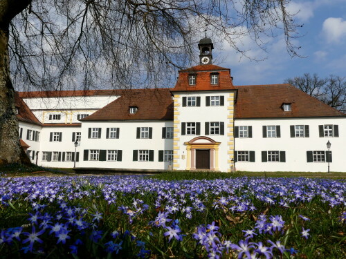 weisses-schloss-triesdorf-mit-blausternchen-24344.jpeg