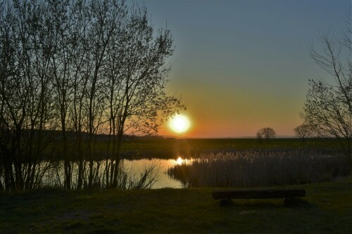 am Feuchtbiotop

Aufnameort: Wetterau - Stammheim
Kamera: Nikon D7200