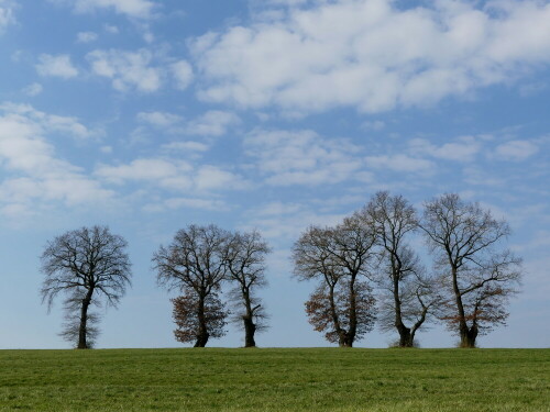 

Aufnameort: Nordstetten bei Gunzenhausen
Kamera: Panasonic Lumix FZ 330