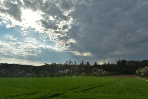 ...mit Lichtblick in der Wetterau

Aufnameort: Wetterau
Kamera: Nikon D7200