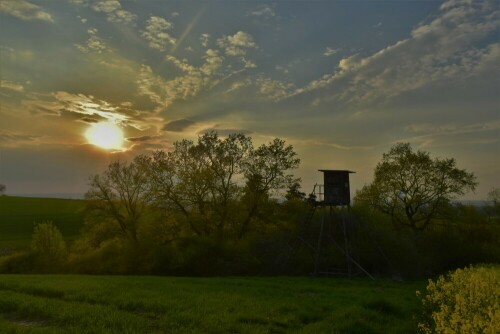 ...im "Honigberg"

Aufnameort: Wetterau
Kamera: Nikon D7200