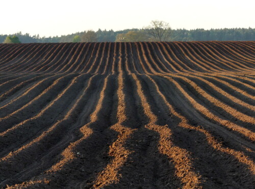 hinterm-horizont-gehts-weiter-24637.jpeg