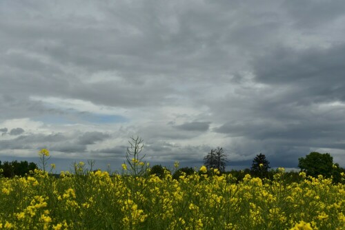 ...verabschiedet sich mit vielen Wolken

Aufnameort: Wetterau
Kamera: Nikon D7200