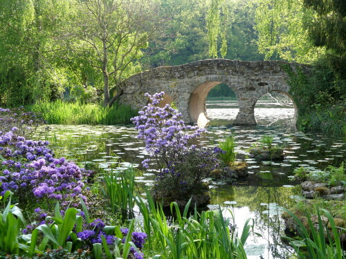 

Aufnameort: Dennenlohe Schlosspark
Kamera: Panasonic Lumix FZ 330