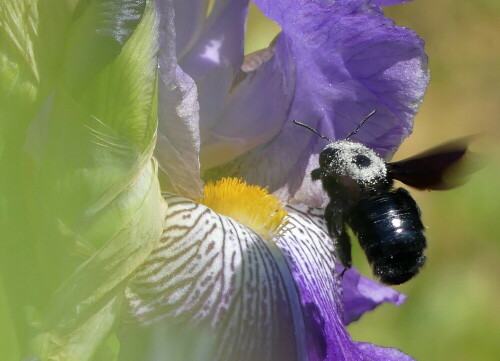 

Aufnameort: Weidenbach in meinem Garten
Kamera: Panasonic Lumix FZ 330