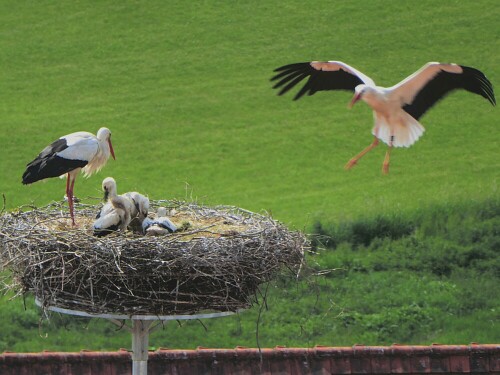 Und jetzt gibts was zum futtern.

Aufnameort: Kloster Wiblingen - Ulm
Kamera: Panasonic Lumix TZ 71