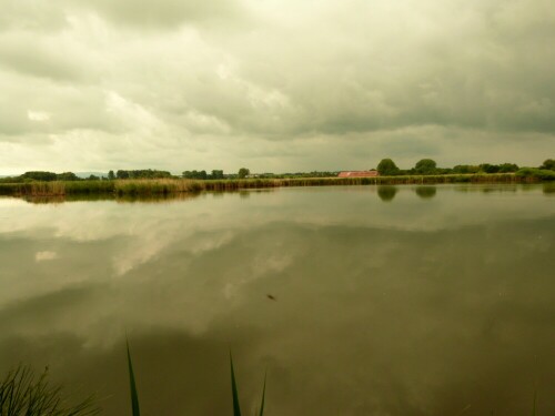 gewitterwolken-uber-dem-reinheimer-teich-24820.jpeg