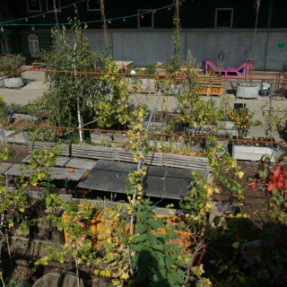 carlsgarten-25341