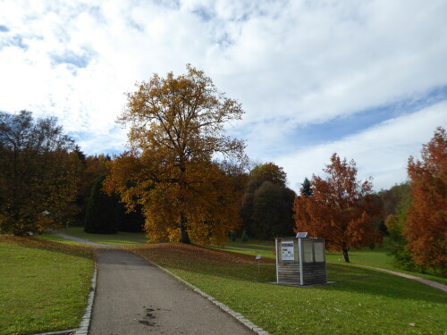 botanischer-garten-der-uni-klinik-ulm-26034.jpeg