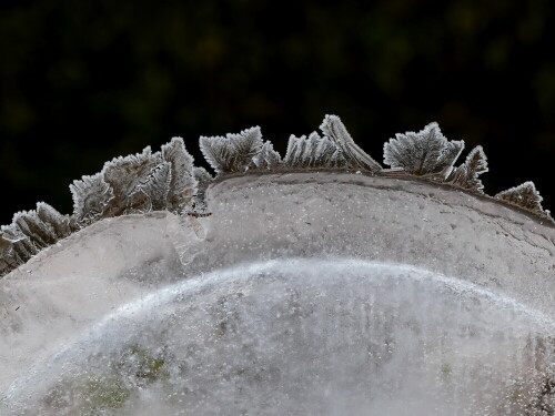 

Aufnameort: Weidenbach in meinem Garten
Kamera: Panasonic Lumix FZ 330